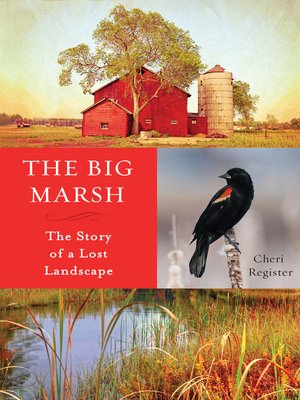 cover image of The Big Marsh